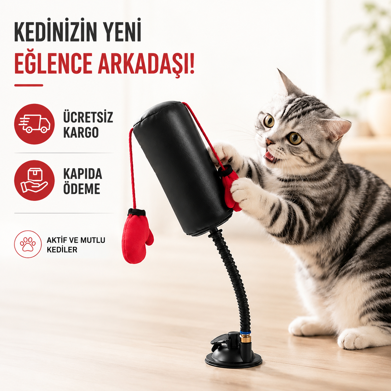 PATİBOKS Kedi Boks Torbası